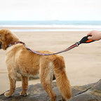 Dog Leashes Walking Ropes Small, Medium and Large Dogs, Chains, Pet Supplies