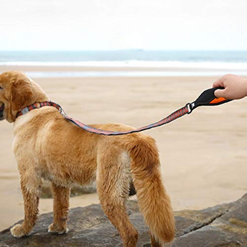 Dog Leashes Walking Ropes Small, Medium and Large Dogs, Chains, Pet Supplies