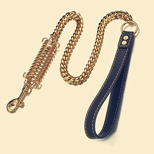 Golden Stainless Steel Chain with Brown Leather Dog Leash Cool Training Pet Supplies