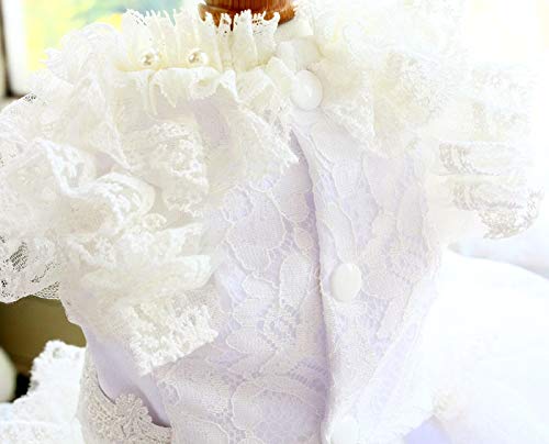 Princess Pet Dog Wedding Dress Cats Dress Puppy Skirt Clothes Pet Tutu Skirt Bride Costume Supplies (Size : Large) (X)