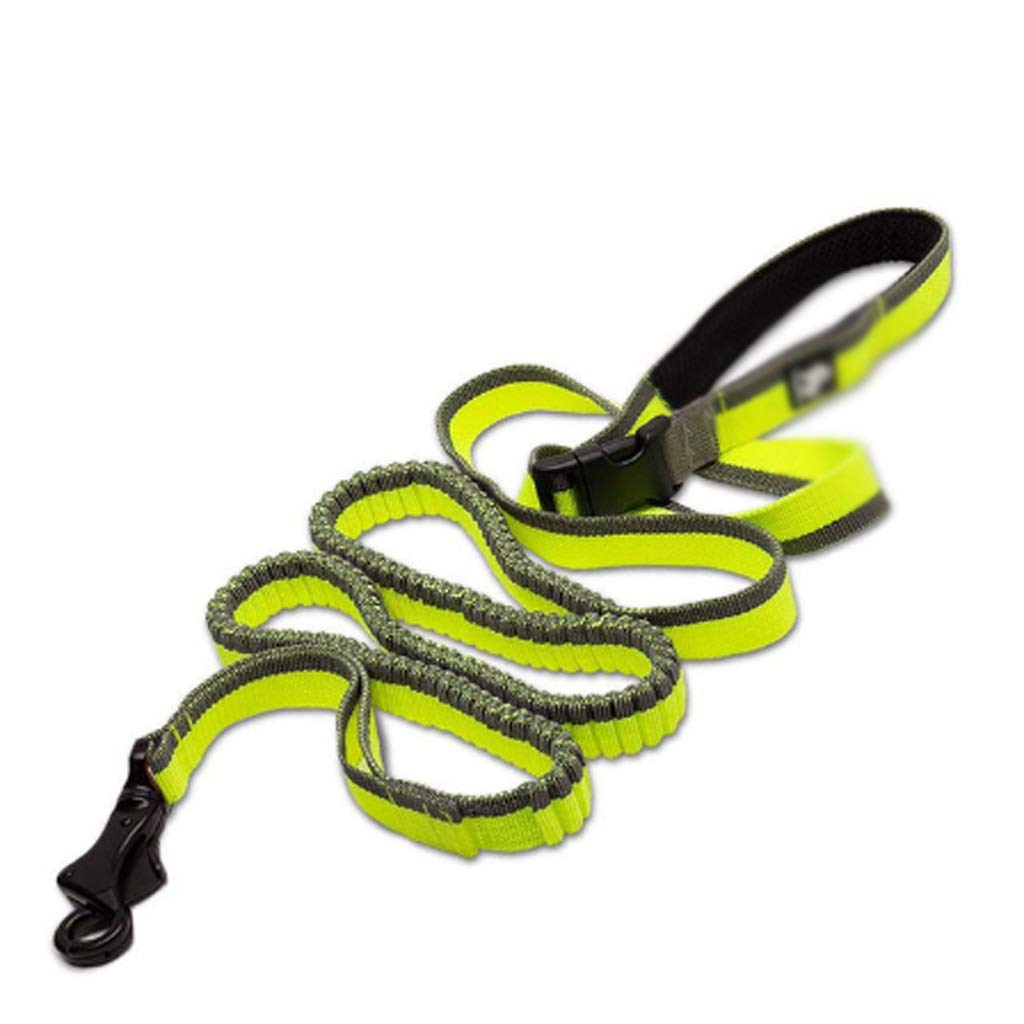 Adjustable Nylon Elastic Stretchable Pet Leash, Used for Running, Jogging and Supplies