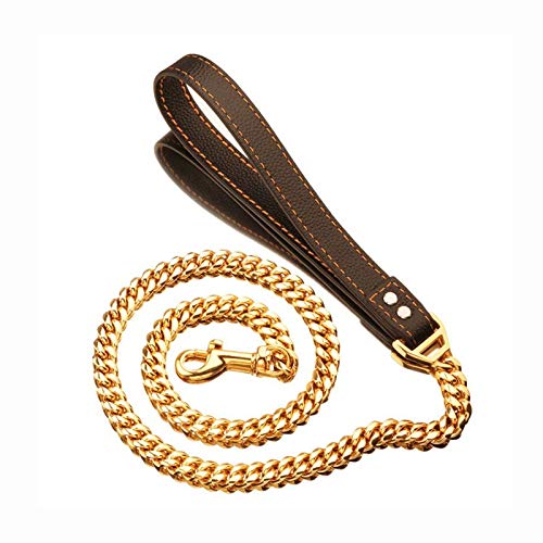 Golden Stainless Steel Chain with Brown Leather Dog Leash Cool Training Pet Supplies