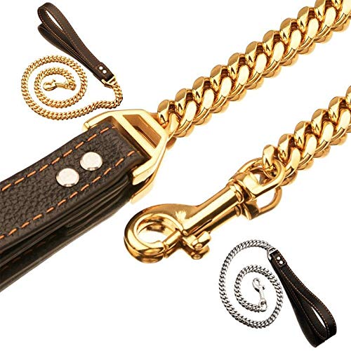 Golden Stainless Steel Chain with Brown Leather Dog Leash Cool Training Pet Supplies