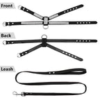 Rhinestone Dog Harness Leather Puppy Cat Vest Leash Set for Small Medium Chihuahua Pug Yorkshire Pet Supplies(E,Small)