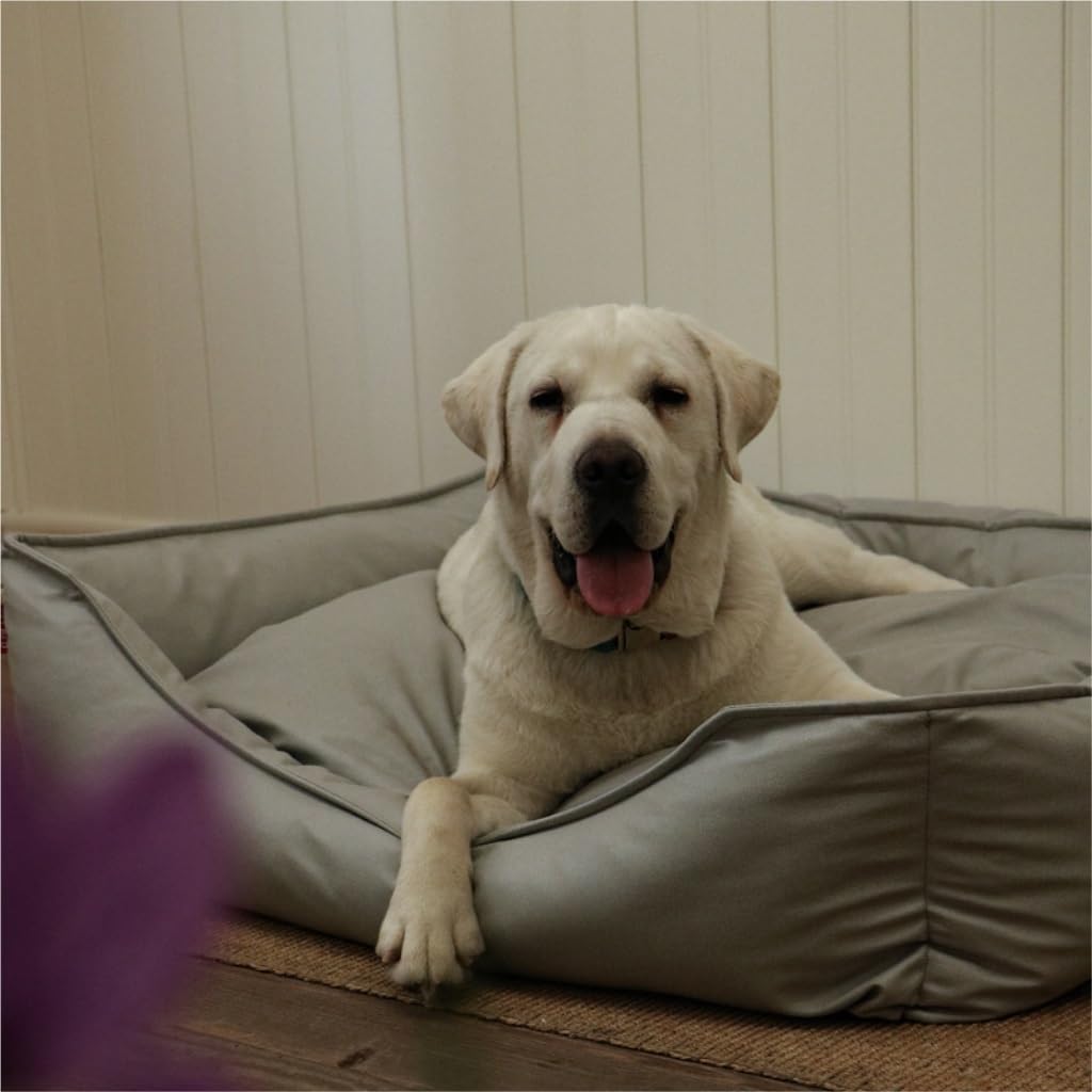 TOWINE Pet Bed Creative Waterproof Kennel Pet Bed Sofa Cat Kennel Supplies Kennel Sponge Removable and Washable Comfortable Dog Bed Dog Bed Dog Sofa (Color : Light Gray, Size : L:84 * 62 * 20cm)