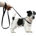 Rhinestone Dog Harness Leather Puppy Cat Vest Leash Set for Small Medium Chihuahua Pug Yorkshire Pet Supplies