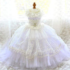 Princess Pet Dog Wedding Dress Cats Dress Puppy Skirt Clothes Pet Tutu Skirt Bride Costume Supplies (Size : Large) (X)