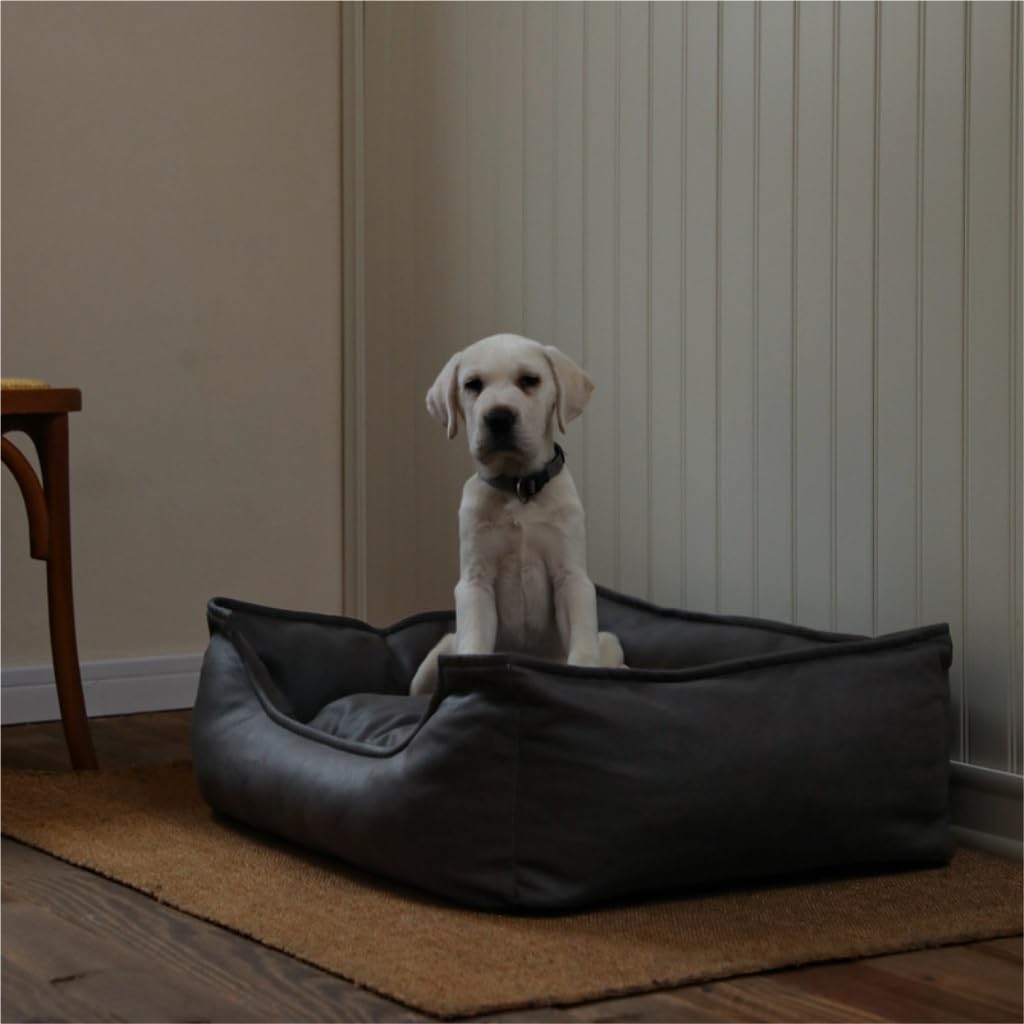 TOWINE Pet Bed Creative Waterproof Kennel Pet Bed Sofa Cat Kennel Supplies Kennel Sponge Removable and Washable Comfortable Dog Bed Dog Bed Dog Sofa (Color : Light Gray, Size : L:84 * 62 * 20cm)