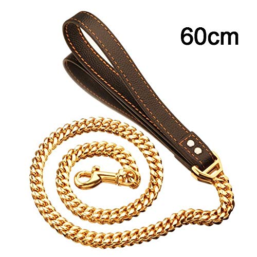Golden Stainless Steel Chain with Brown Leather Dog Leash Cool Training Pet Supplies