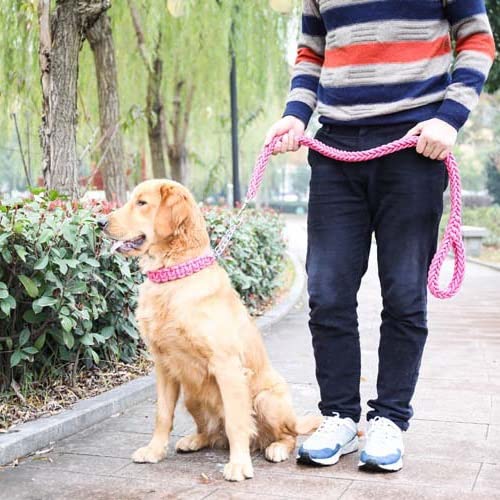 Woven Dog Collars P Nylon Adjustable Collar for Small Medium and Large Dogs Walking Artifact Pet Supplies