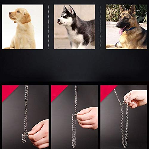Golden Stainless Steel Chain with Brown Leather Dog Leash Cool Training Pet Supplies