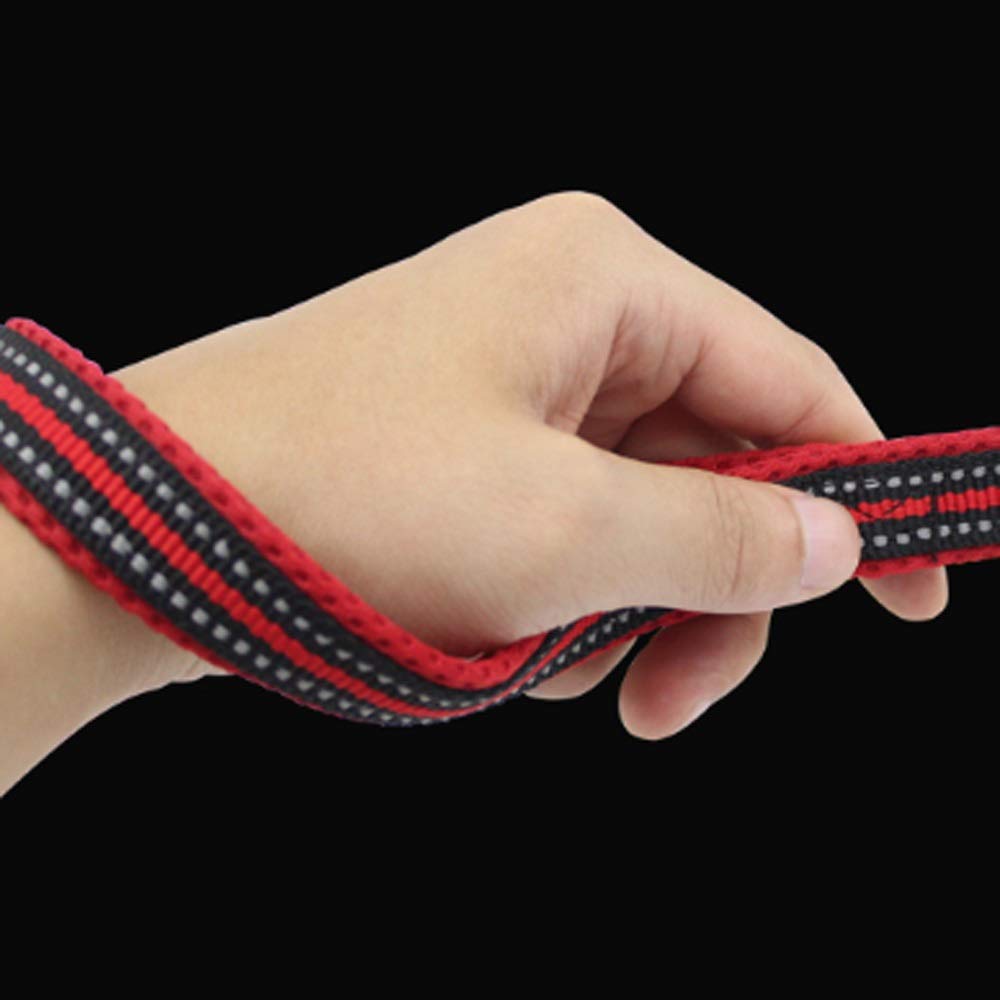 Pet Leash P Chain Pet Leash Supplies Small and Medium-Sized Dogs Walking Rope Pet Leash (B)