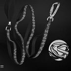 Dog Leashes Walking Ropes Small, Medium and Large Dogs, Chains, Pet Supplies