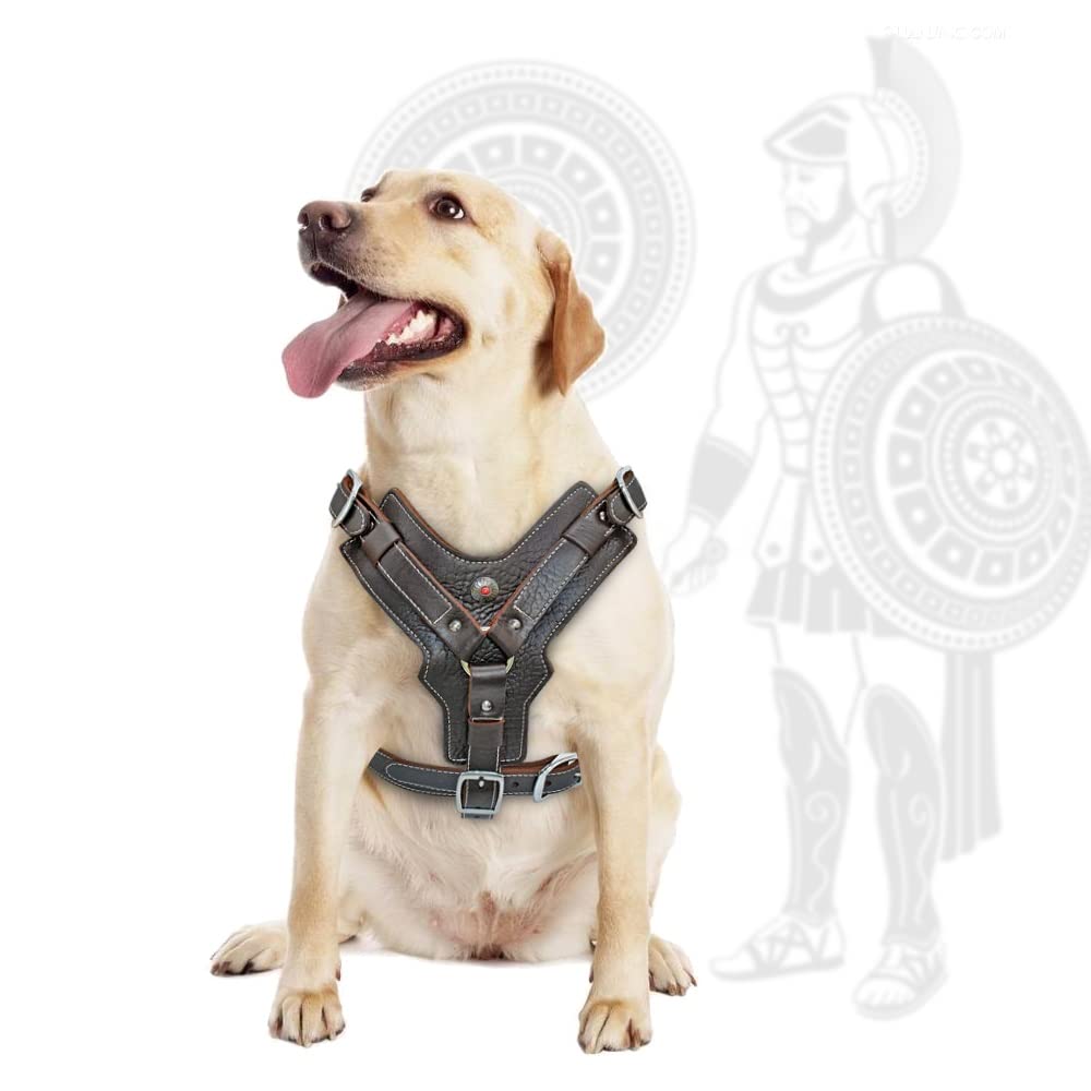 Large Dogs Leather Harness Adjustable Dog Vest Harnesses Quick Control with Handle Pet Supplies for Labrador