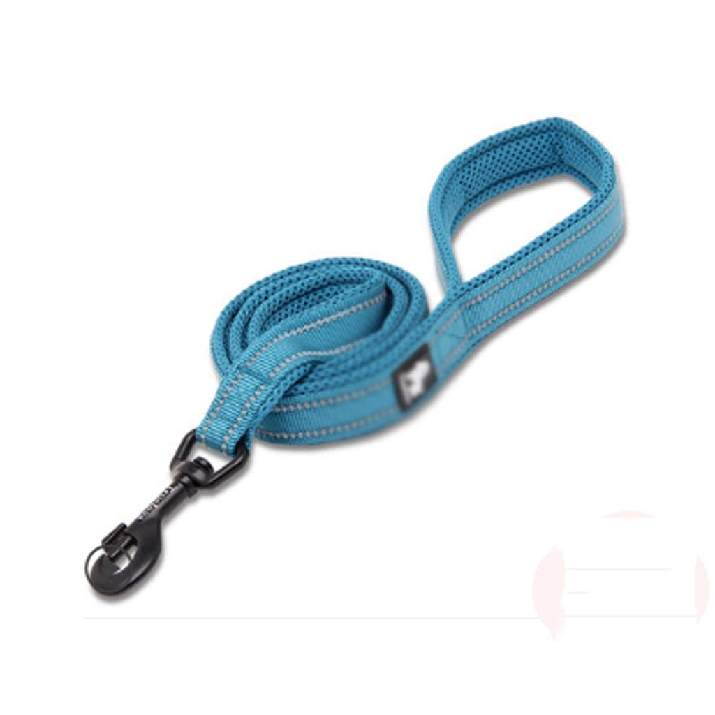Pet Leash P Chain Pet Leash Supplies Small and Medium-Sized Dogs Walking Rope Pet Leash (B)