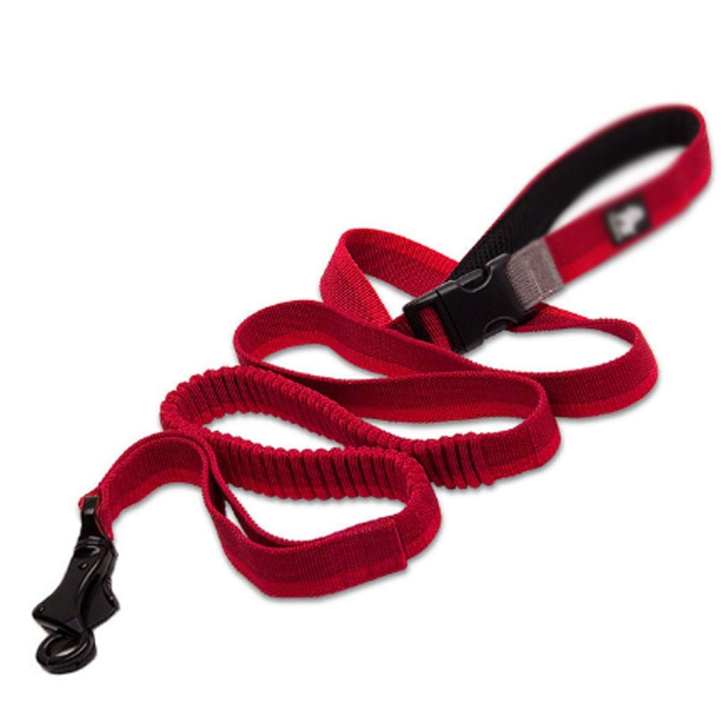 Adjustable Nylon Elastic Stretchable Pet Leash, Used for Running, Jogging and Supplies