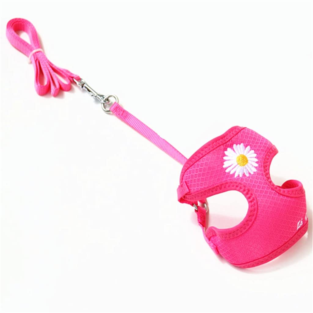 Pet Vest with Flower Small Dog Harness and Leash Set Mesh Cushion Rope Supplies