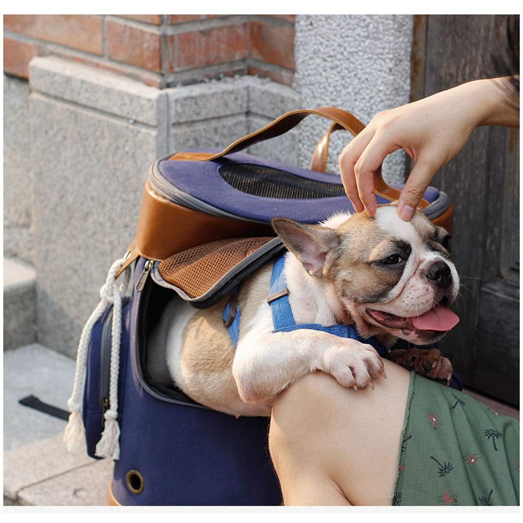 YYDS Pet Carry Bag Tide Type Out Pet Shoulder Bucket Bag Portable Travel Bag Cat Dog Bag Backpack Teddy Bag Pet Supplies