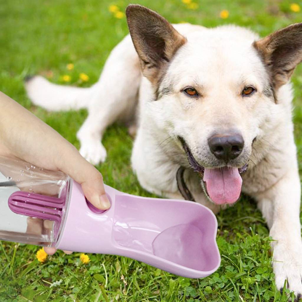 Pet Water Bottle Light and Leak-Proof Pet Water Bottle Outdoor Water Bottle Pet Supplies (B)