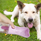 Pet Water Bottle Light and Leak-Proof Pet Water Bottle Outdoor Water Bottle Pet Supplies (B)