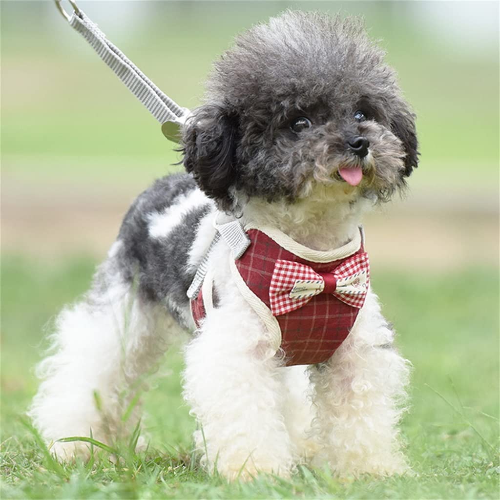 Dog Harness Leash Set Cute Bow Training Walking Vest Strap Small Pug Pet Supplies