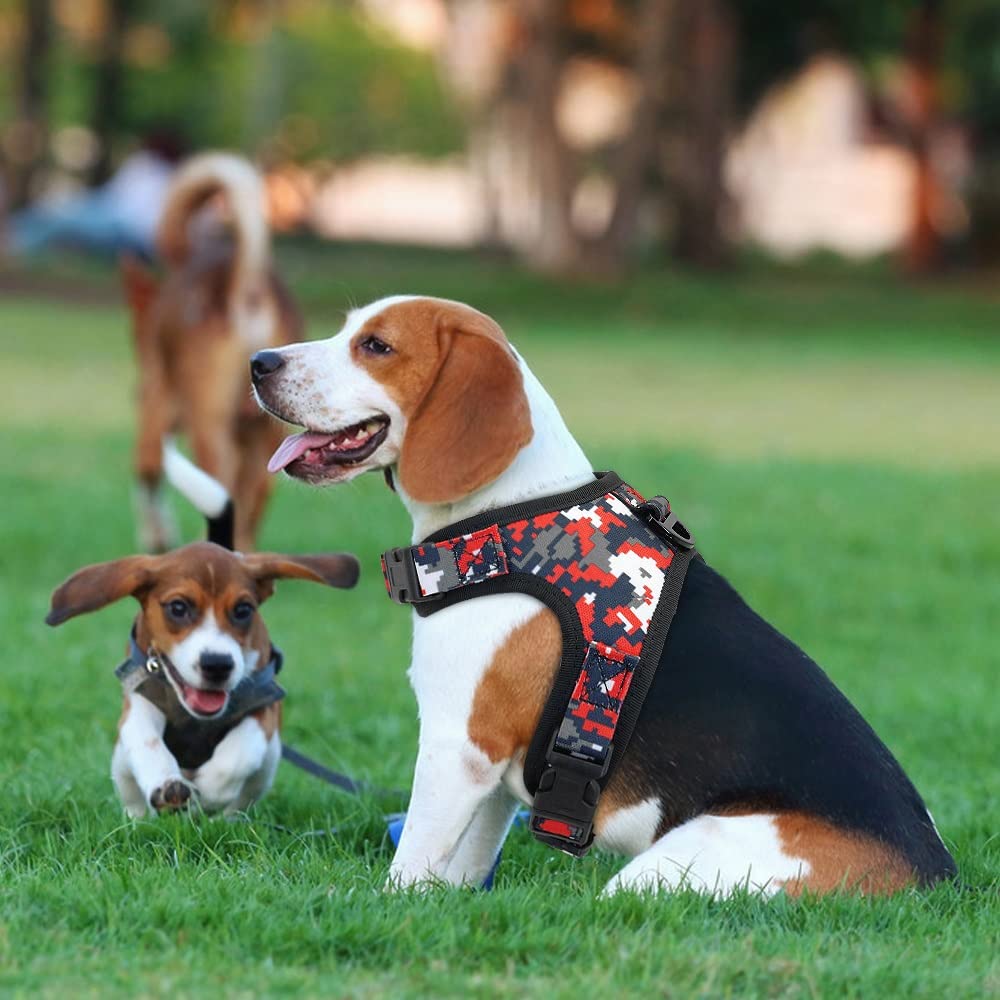 Nylon Dog Harness Adjustable Pet Mesh Vest for Small Medium Dogs Walking Training Husky Bulldog Supplies