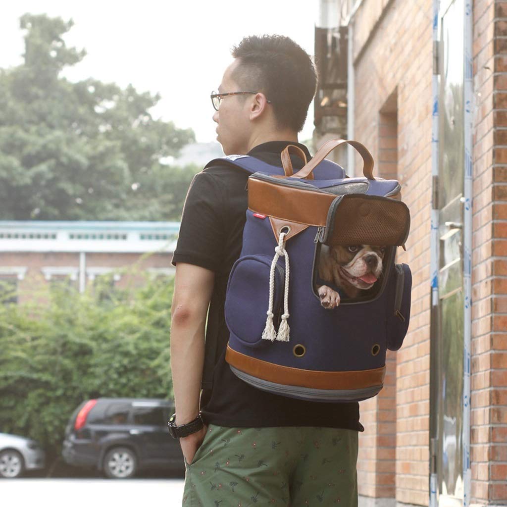YYDS Pet Carry Bag Tide Type Out Pet Shoulder Bucket Bag Portable Travel Bag Cat Dog Bag Backpack Teddy Bag Pet Supplies