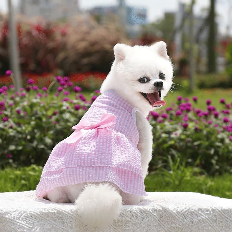 Dog Skirt Wedding Dress Spring, and Autumn New Checkered Pet Cat Clothing Supplies Stripe Bomei