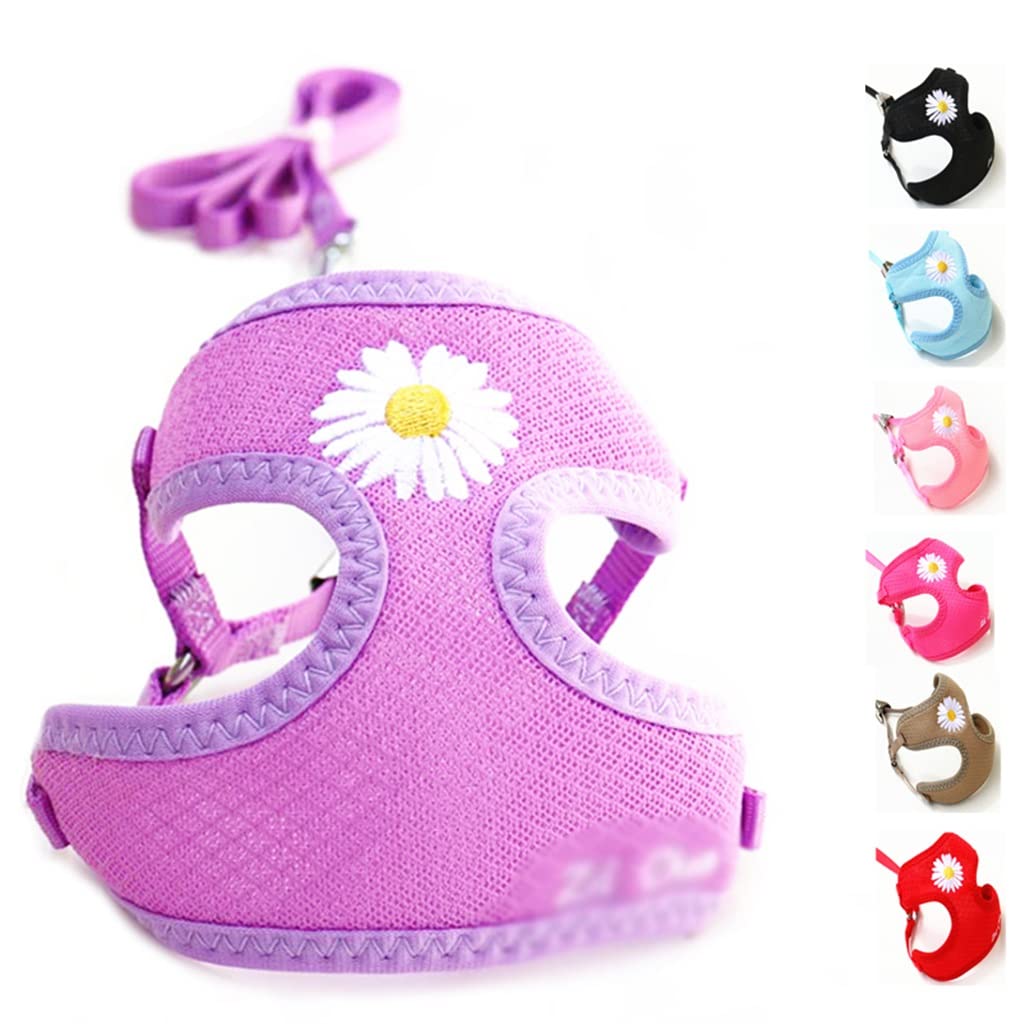Pet Vest with Flower Small Dog Harness and Leash Set Mesh Cushion Rope Supplies