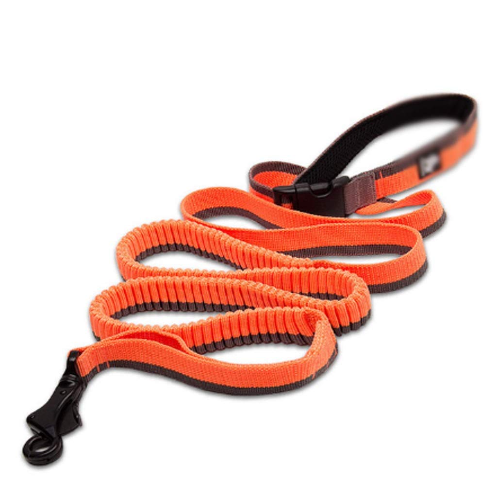 Adjustable Nylon Elastic Stretchable Pet Leash, Used for Running, Jogging and Supplies