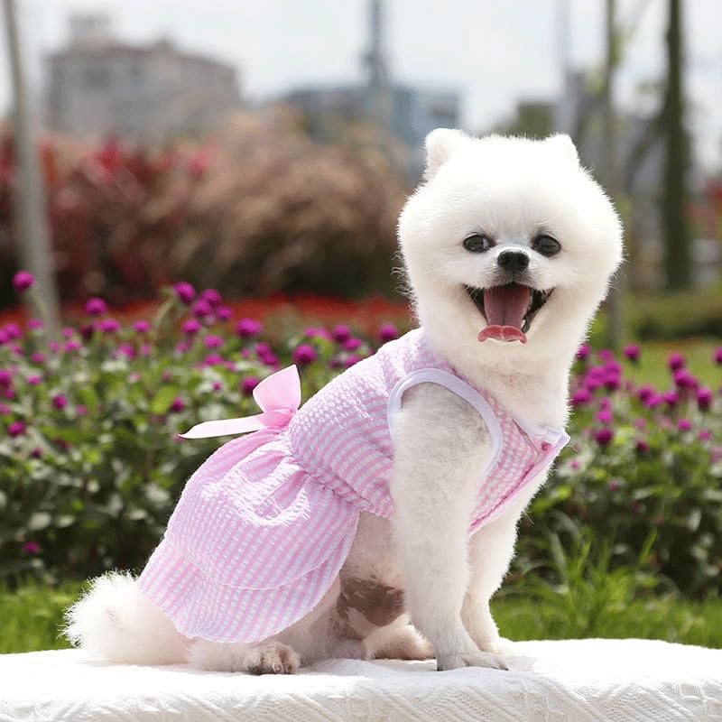 Dog Skirt Wedding Dress Spring, and Autumn New Checkered Pet Cat Clothing Supplies Stripe Bomei