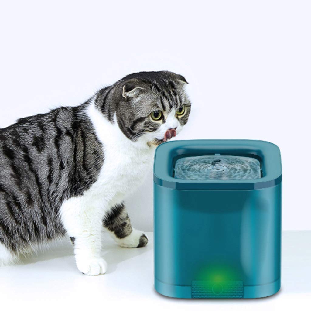 Pet Automatic Drinking Fountain, Circulating Water, and Feeding Supplies, Safety Design