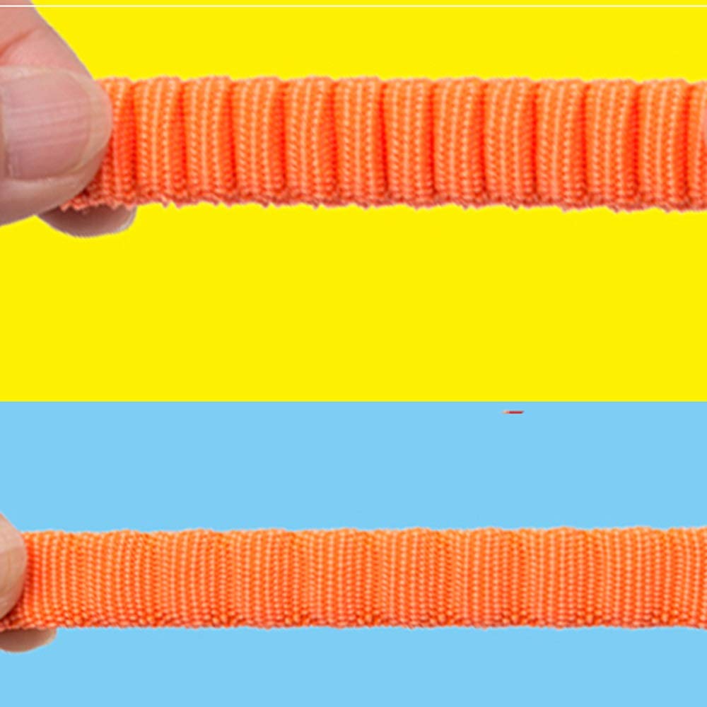 Leashing Rope Medium-Sized Dog Explosion-Proof Pet Supplies Walking Rope Elastic Buffer Belt Pet Leash (B)