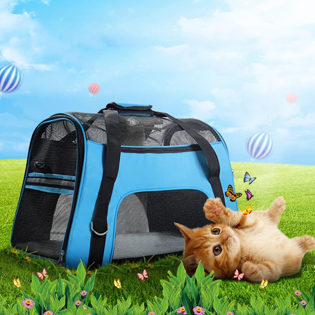 Teddy Going Out Portable Travel Bag Than The Bear Cat Backpack Dog Pet Supplies Puppies