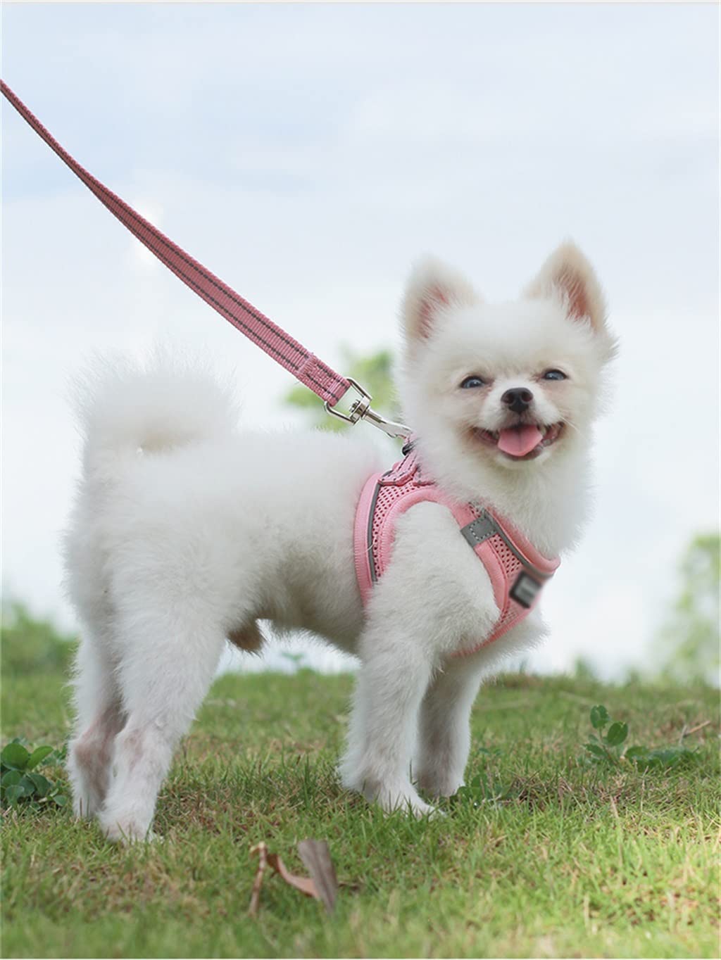 Dog Sling and Leash Set Super Small no Tension Reflective Breathable Puppy Sling Pet Supplies (B L)