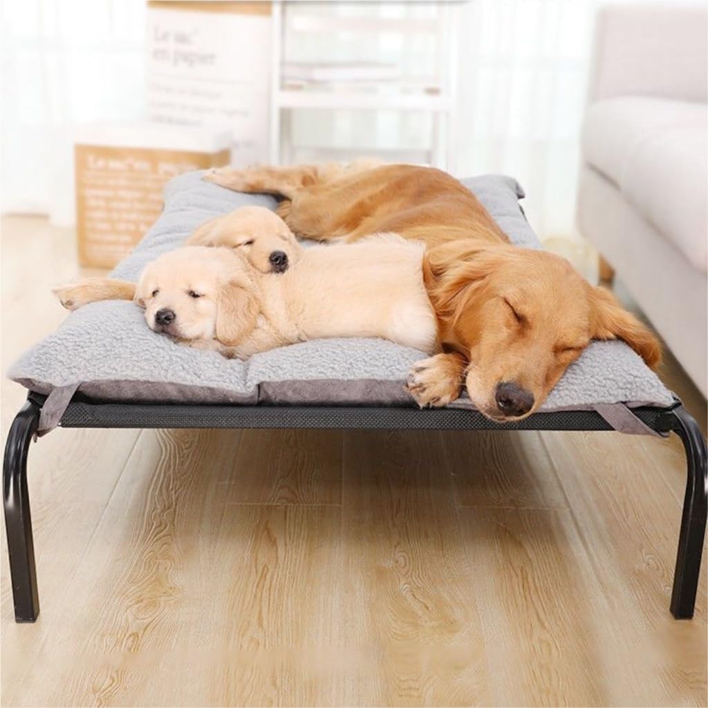 Pet Bed Pet Bed, Moisture-Proof Dog Kennel, Universal Dog Camp Bed for All Seasons, Washable Pet Bed, Pet Supplies Pet Beds for Cats(B,Medium)
