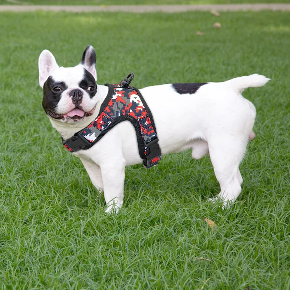 Nylon Dog Harness Adjustable Pet Mesh Vest for Small Medium Dogs Walking Training Husky Bulldog Supplies(L)