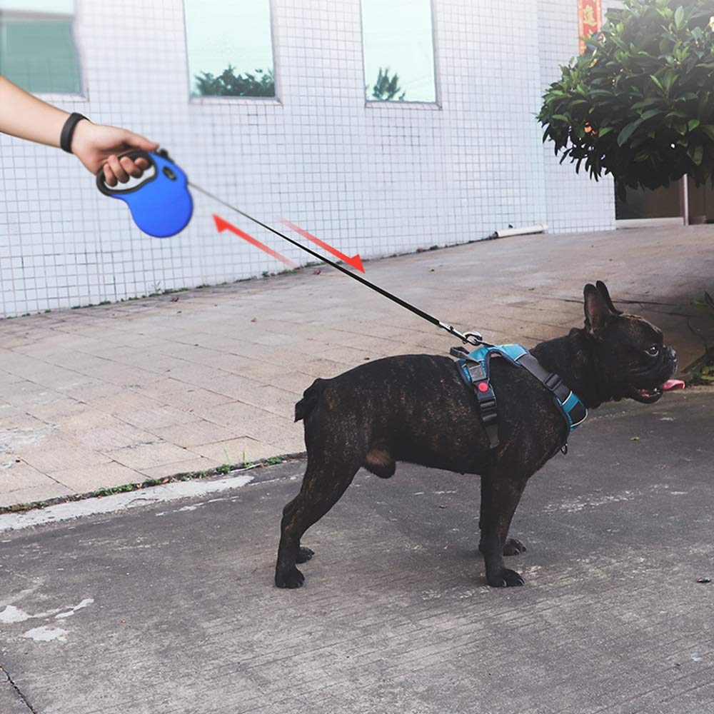 Automatic Telescopic Traction Rope Pet Rope Medium and Large Chain Walking Rope Pet Supplies (D)