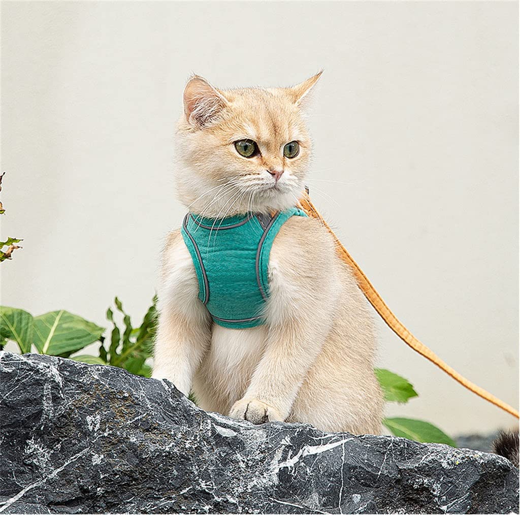 Suede Fabric Vest Straps and Padded Leash Set Dog Vest Pet Supplies Outdoor Running Dog Pet Accessories (C L)