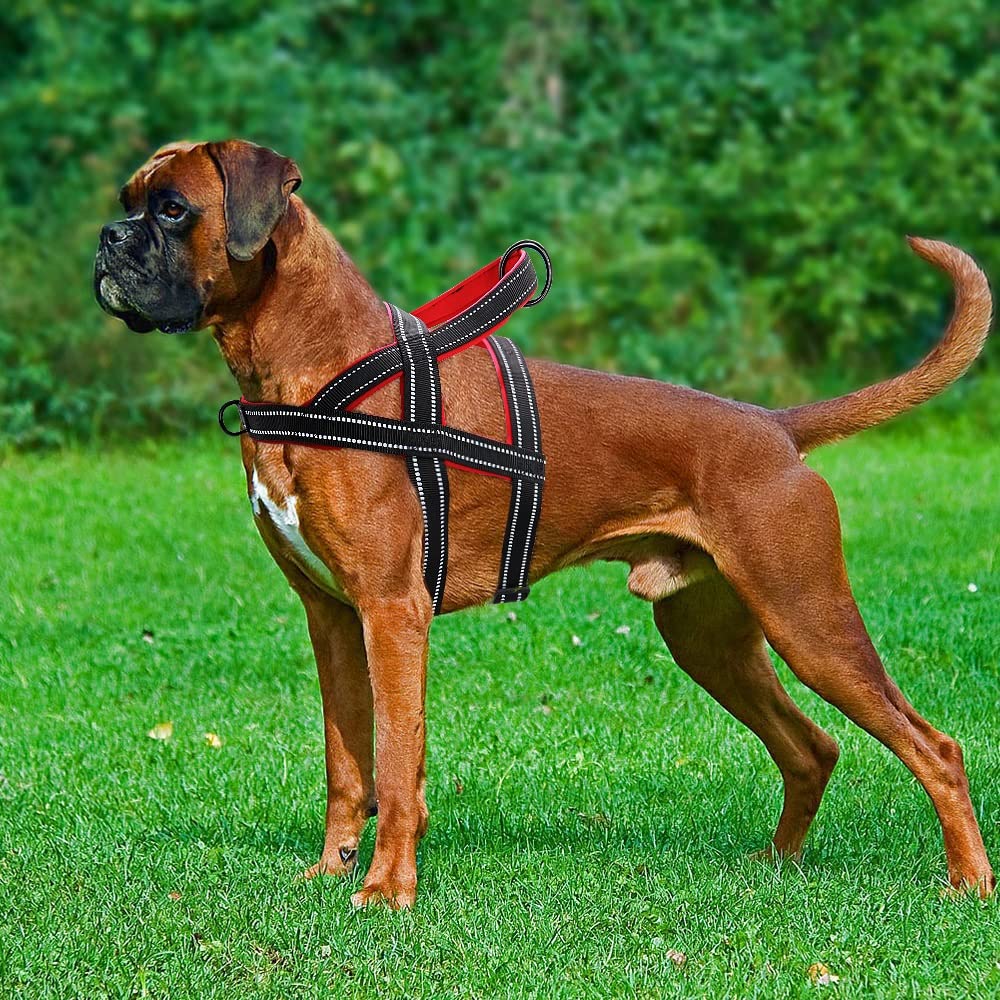 No Pull Nylon Dog Harness Reflective Adjustable Dog Harness Vest for Medium Large Dogs Walking Training Belt Pet Supplies