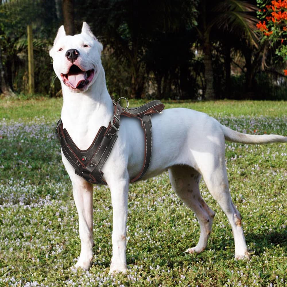 Large Dogs Leather Harness Adjustable Dog Vest Harnesses Quick Control with Handle Pet Supplies for Labrador