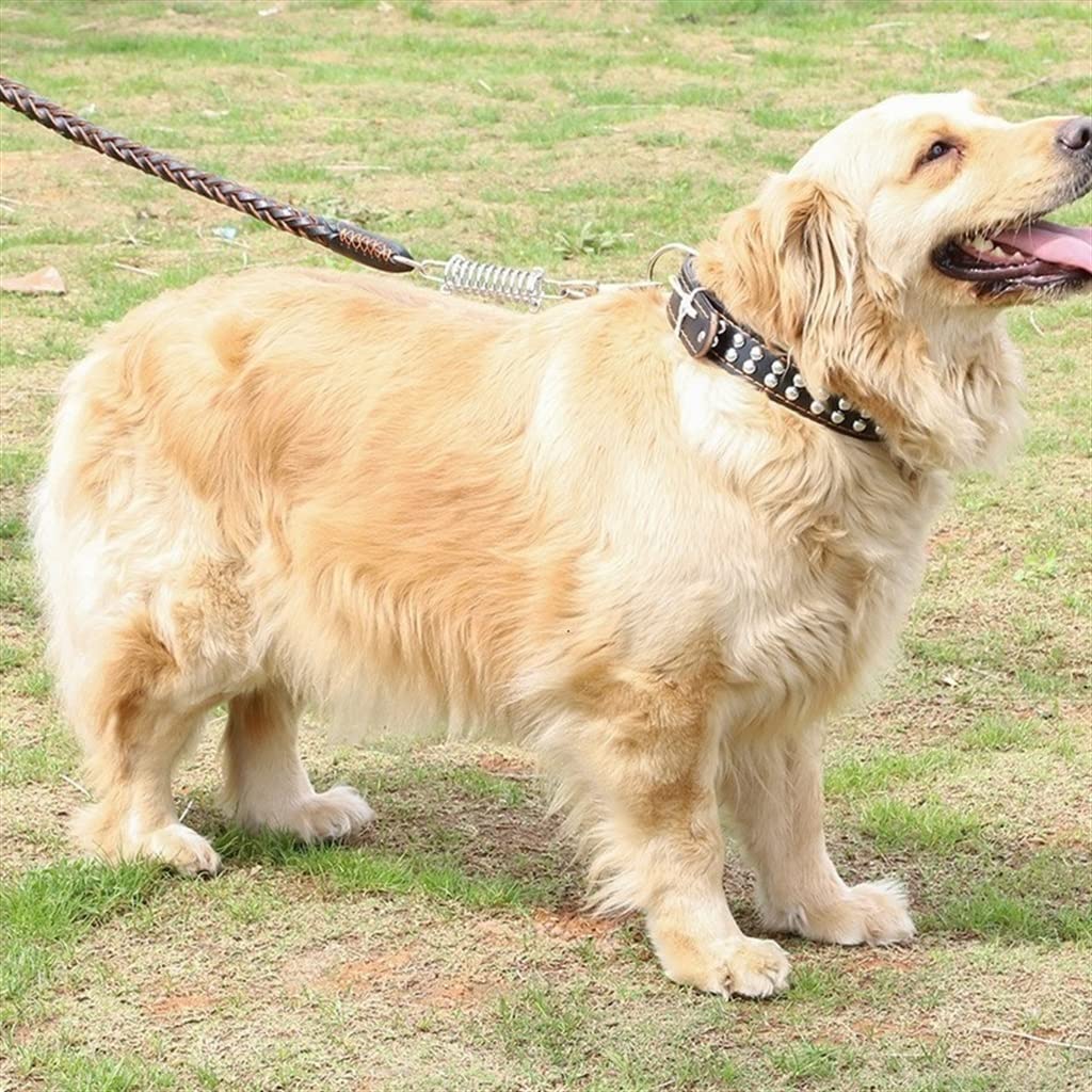 Braided Leather Dog Collar Leash Set for Medium Large Soft Buffer Spring Bulldog Pet Supplies