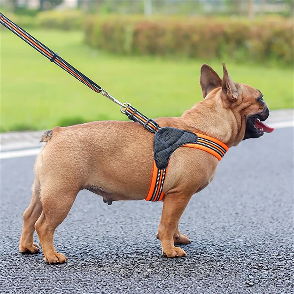 Breathable Nylon Mesh Dog Harness Adjustable and Leash Set Accessories Pet Supplies