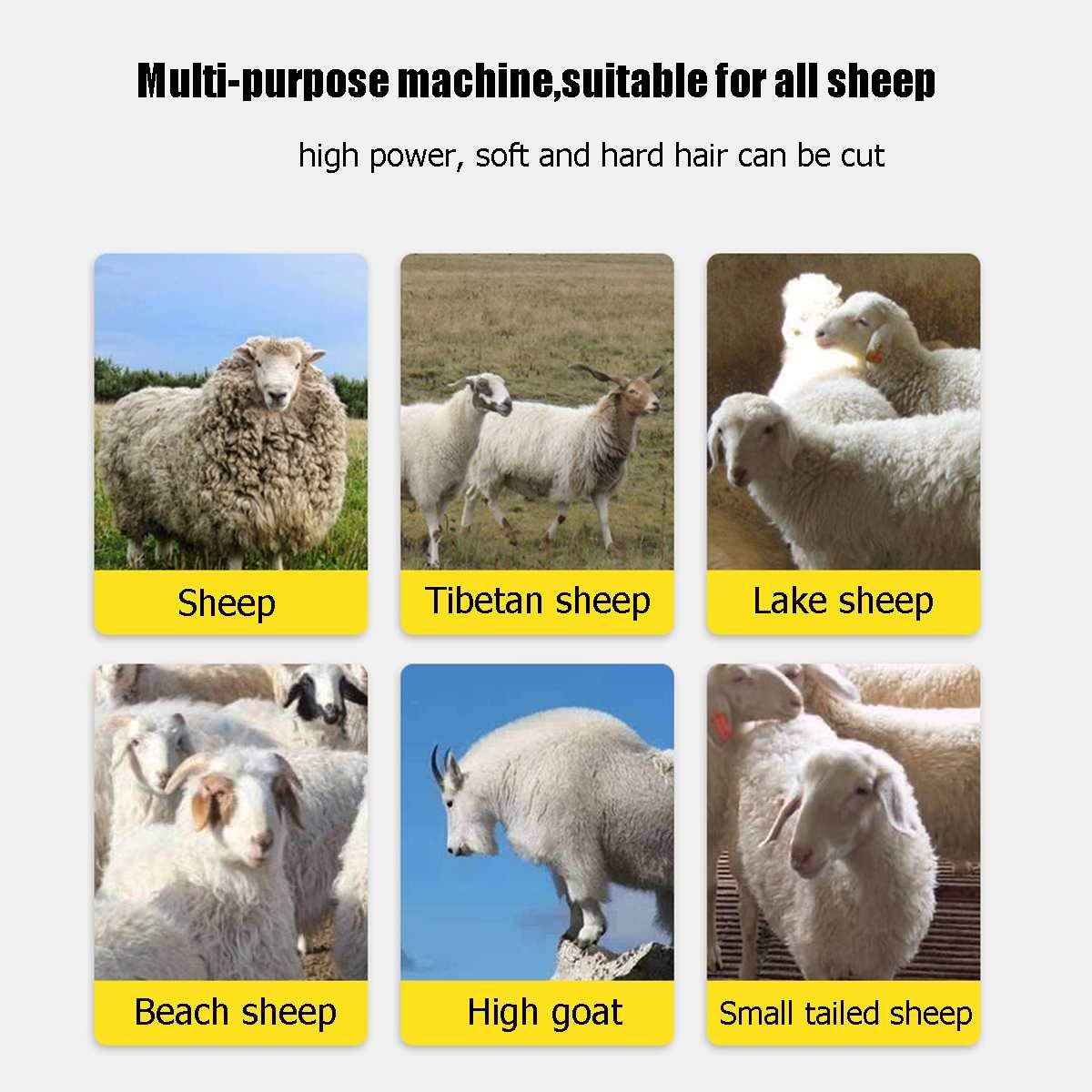1000W Electric Sheep Pet Hair Clipper Shearing Kit,Shear Wool Cut Goat Pet Animal Shearing Supplies Farm Cut Machine