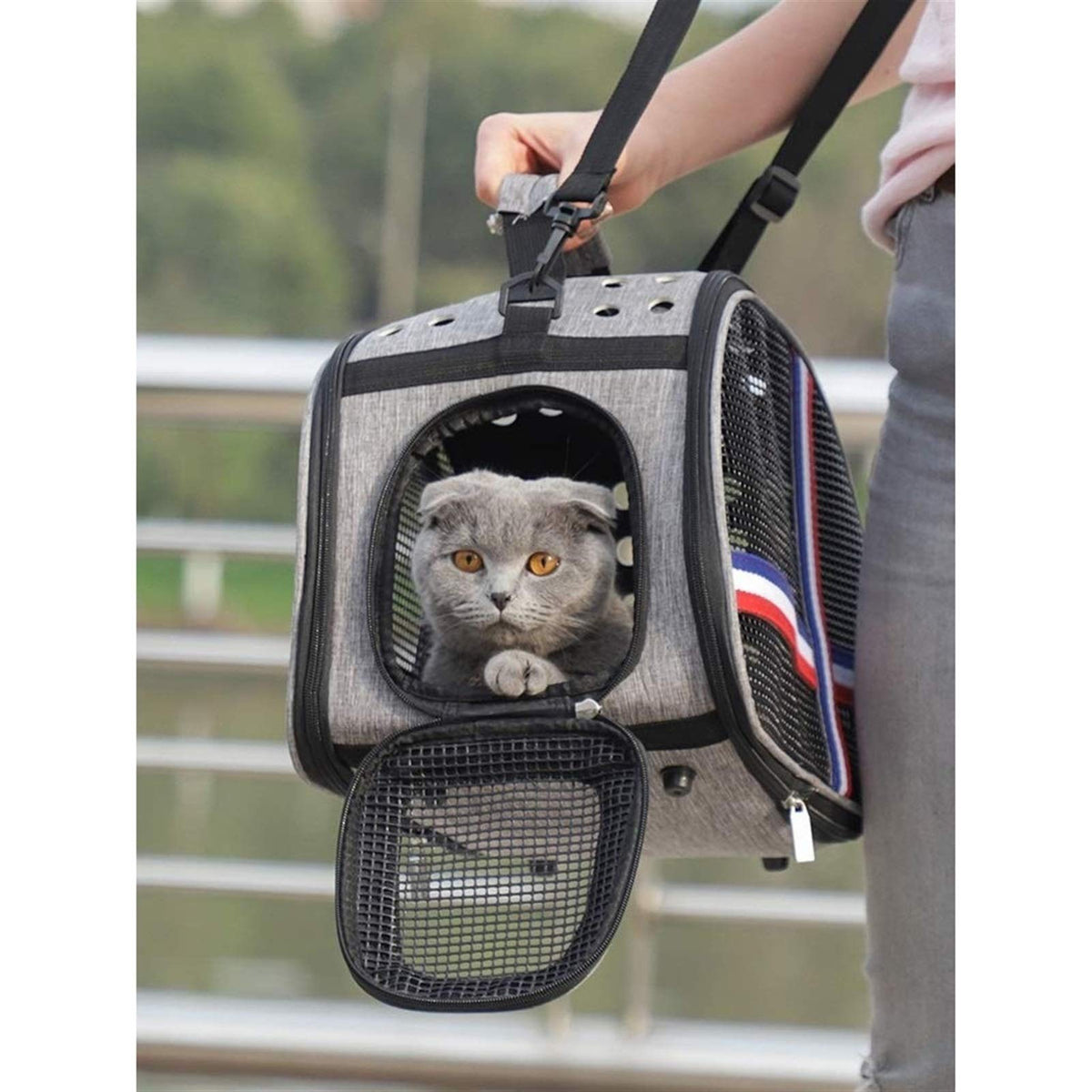 Pet Bag - Pet Carrier Expandable Soft Sided Pet Tote Carriers Bags Folding Pets Kitten Carriers Bags Portable Pet Supply (E)