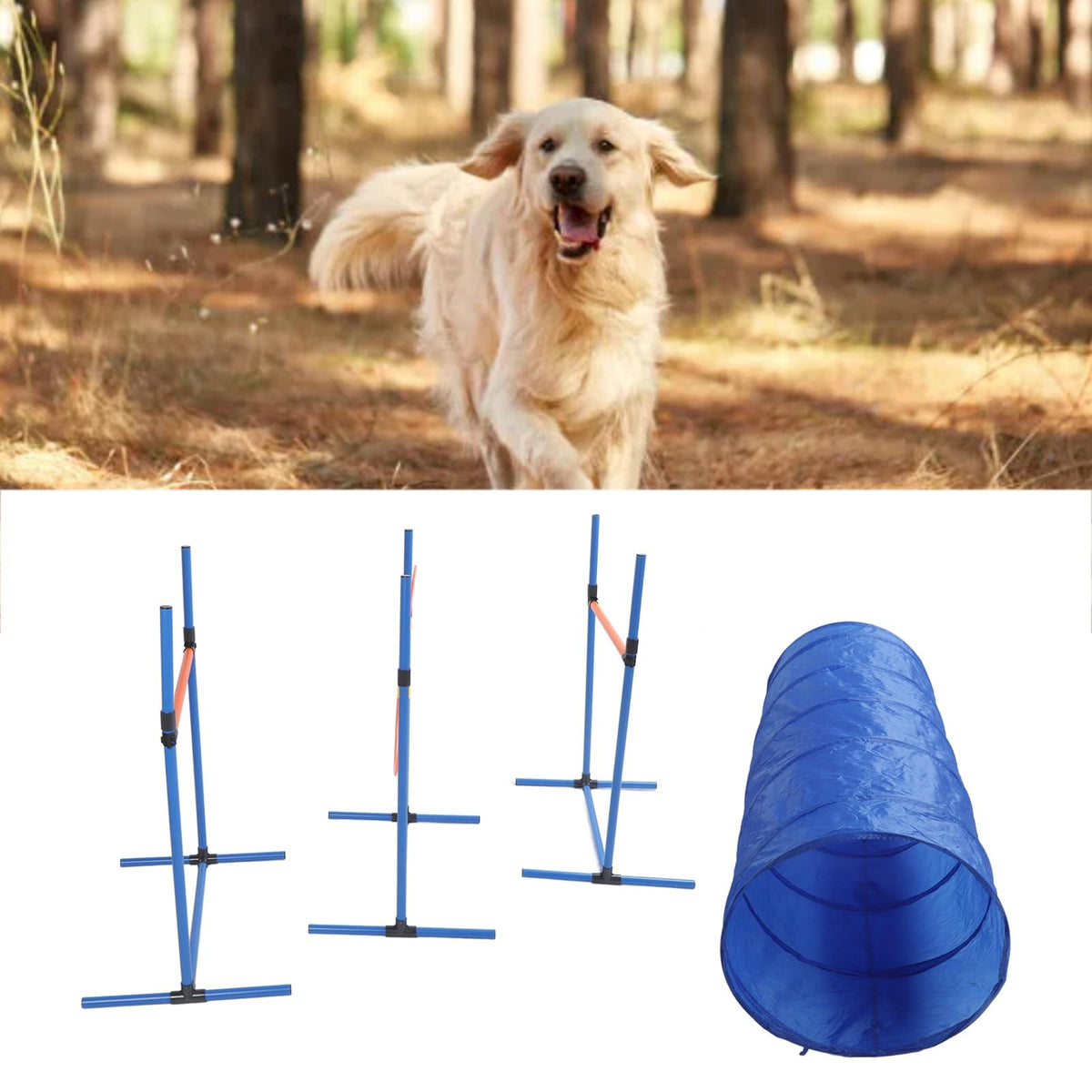 Dog Agility Training Equipment, Collapsible Tunnel Jump Ring Poles, Dog Obstacle Training Kit for Yard Outdoor, Professional Pet Exercise Starter Kit with Storage Bags and Accessor
